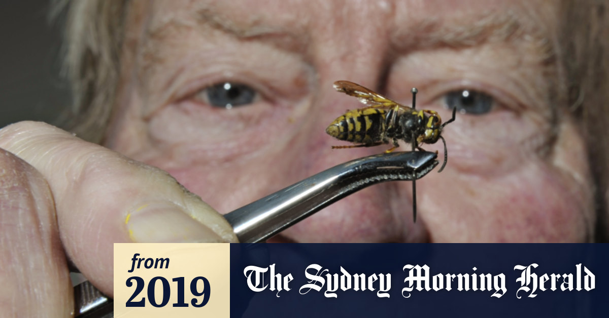 Entomologist safeguarded forests against insect attack